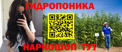 скорость Пушкино