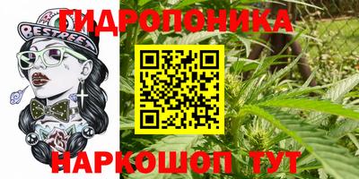 скорость Пушкино