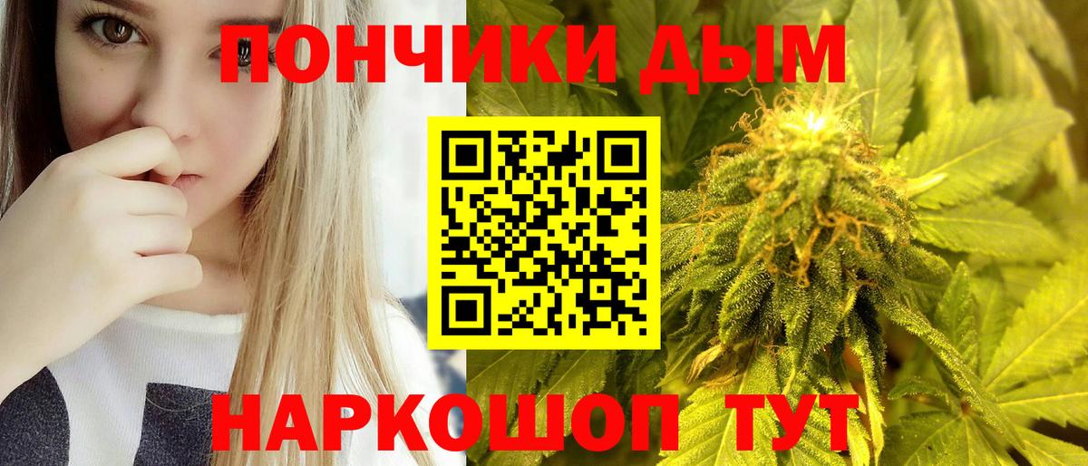 Бошки марихуана гибрид Новодвинск